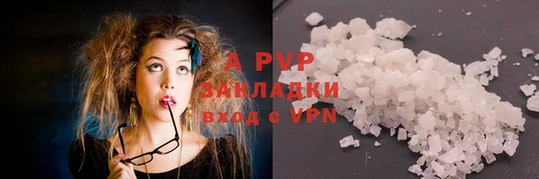 прущие крисы Нефтекумск