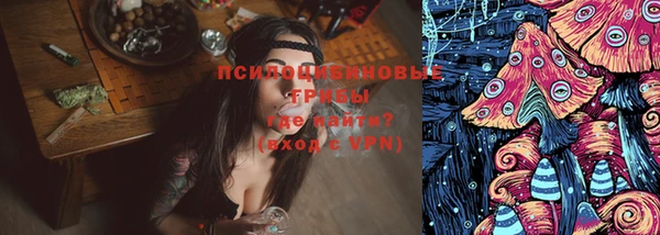 прущие крисы Нефтекумск