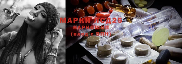 прущие крисы Нефтекумск