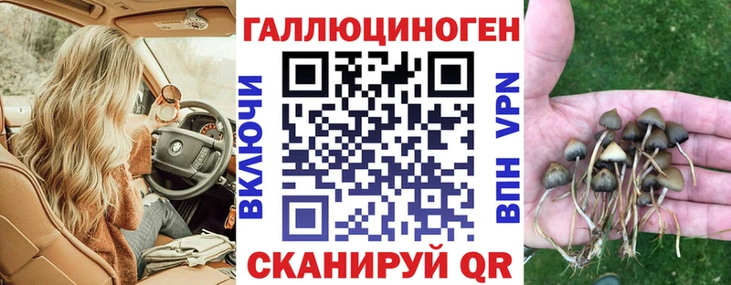 Купить закладки  Пустошка  Псилоцибиновые грибы ЛСД 