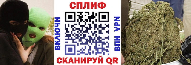 Купить закладки  Пустошка  Каннабис MAZAR 